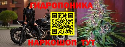 тгк Кимры