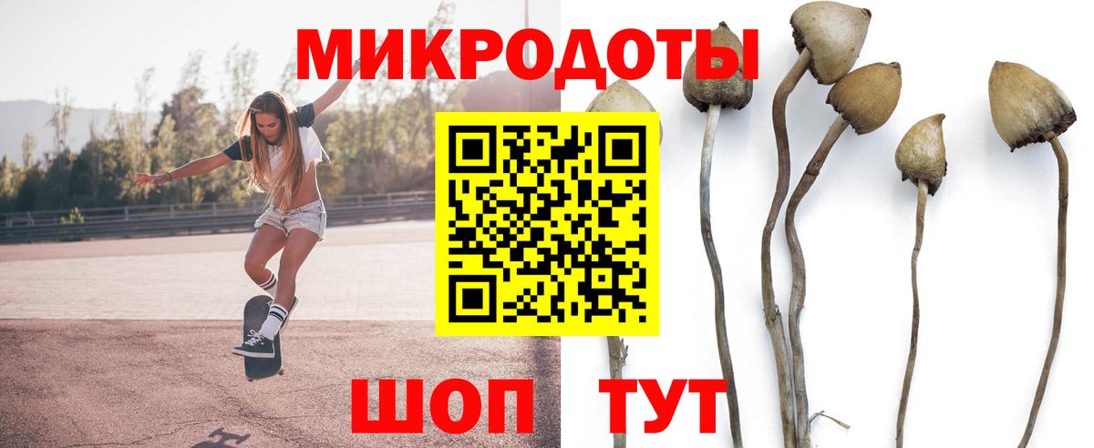 Галлюциногенные грибы мицелий Геленджик