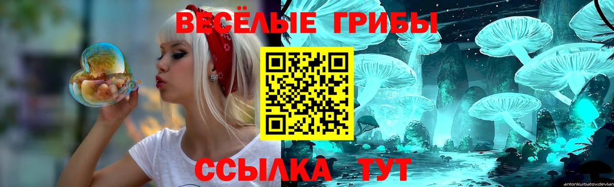Галлюциногенные грибы мицелий  где можно купить   Геленджик  Вход с VPN 